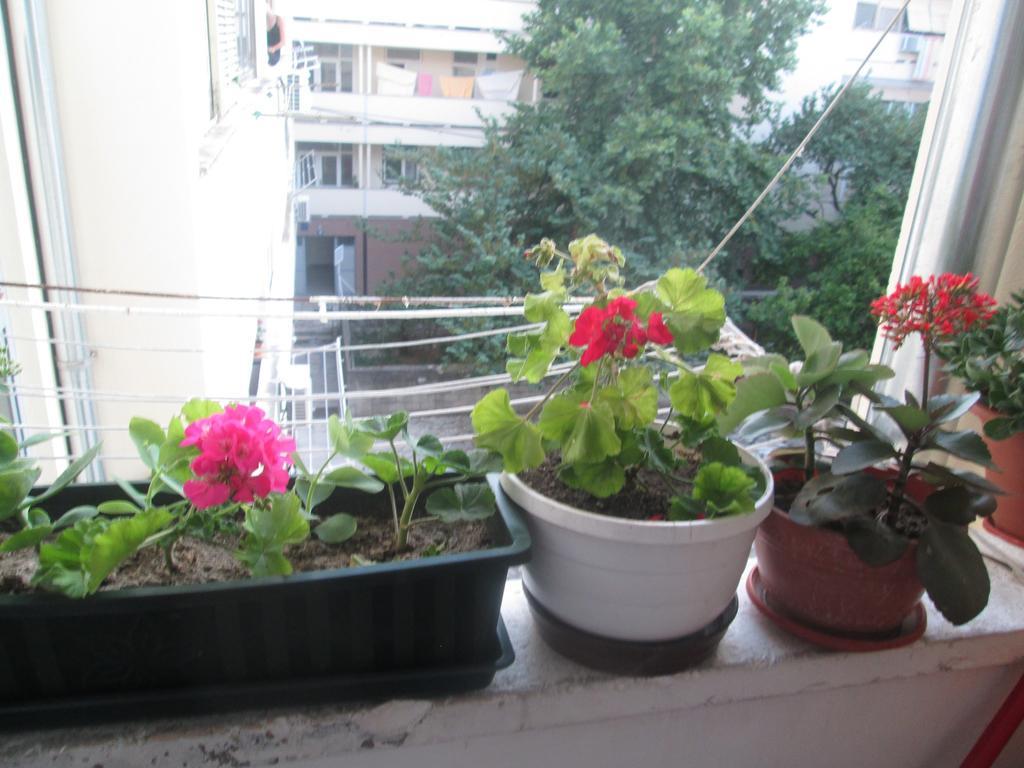 זאדאר Guest House Marija מראה חיצוני תמונה